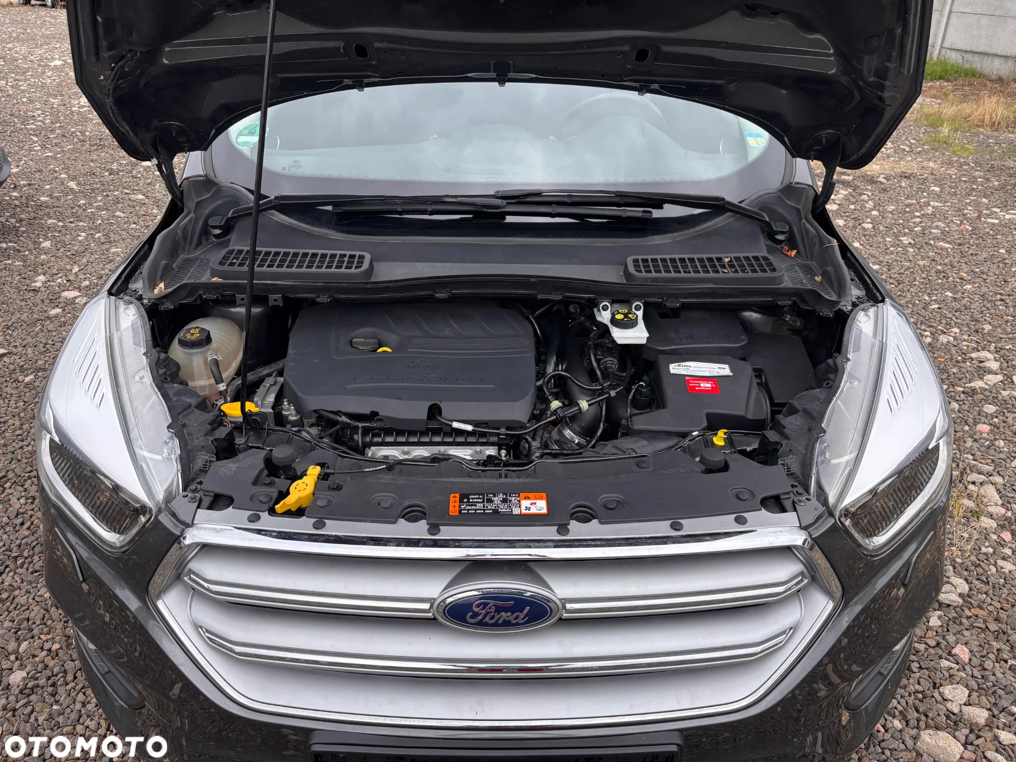 Ford Kuga 1.5 EcoBoost FWD Trend - 19