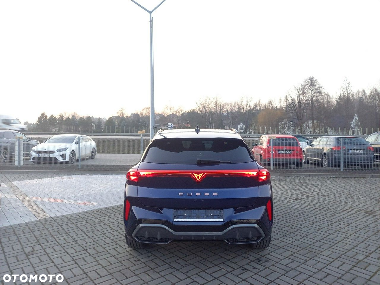 Cupra Terramar - 4
