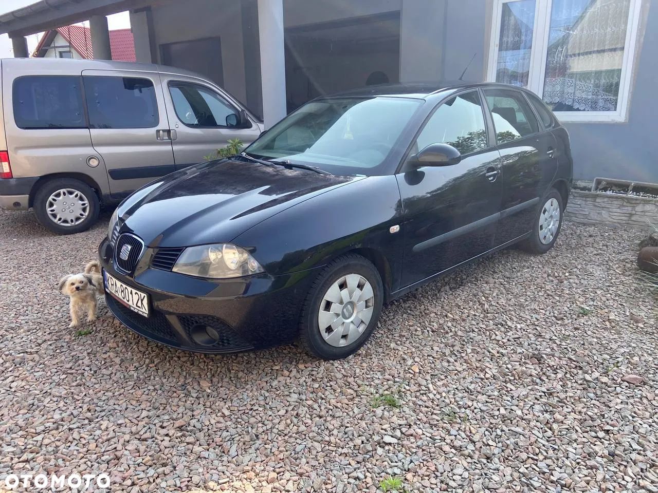 Seat Ibiza - 1