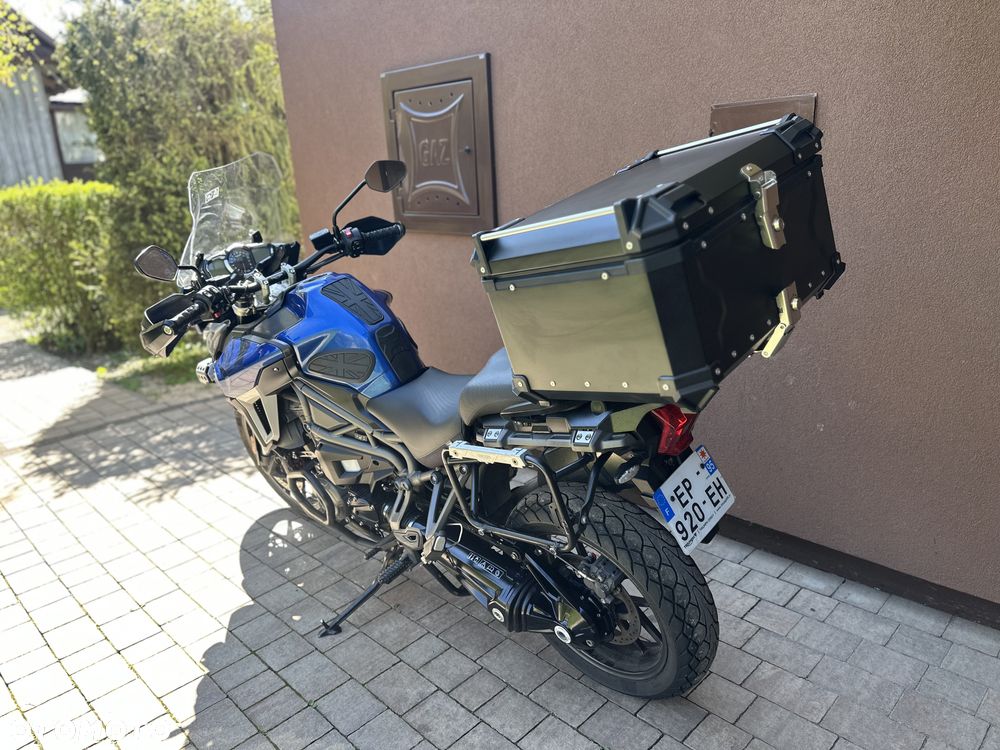 Triumph Tiger - 24
