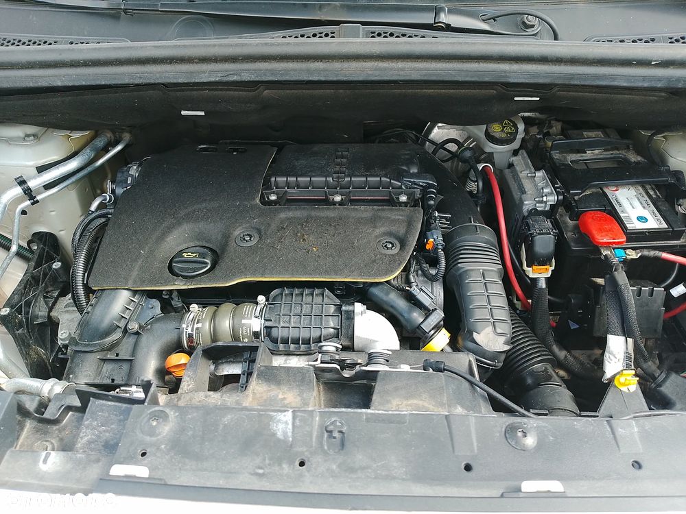 Peugeot Partner Berlingo Combo Doblo 3osoby Izoterma Chłodnia Mroźnia do lodów minus 20 stopni 220V grzanie - 23