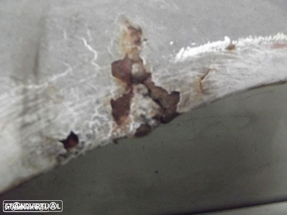 citroen dyane guarda lamas - 6