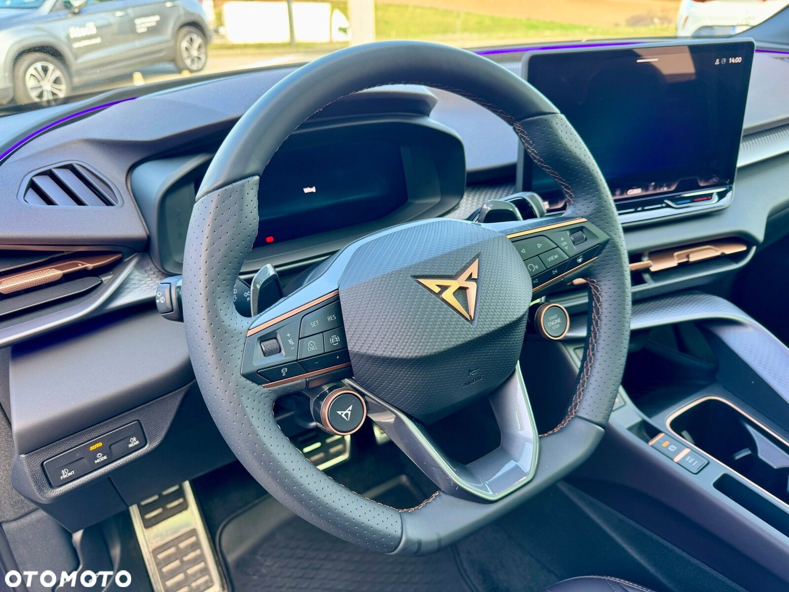 Cupra Terramar - 16