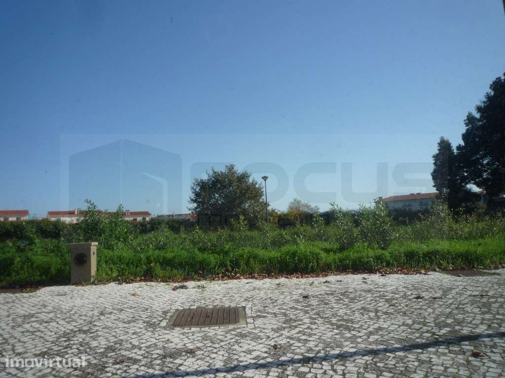 Lote de Terreno em Albergaria-a-Velha - Grande imagem: 3/5