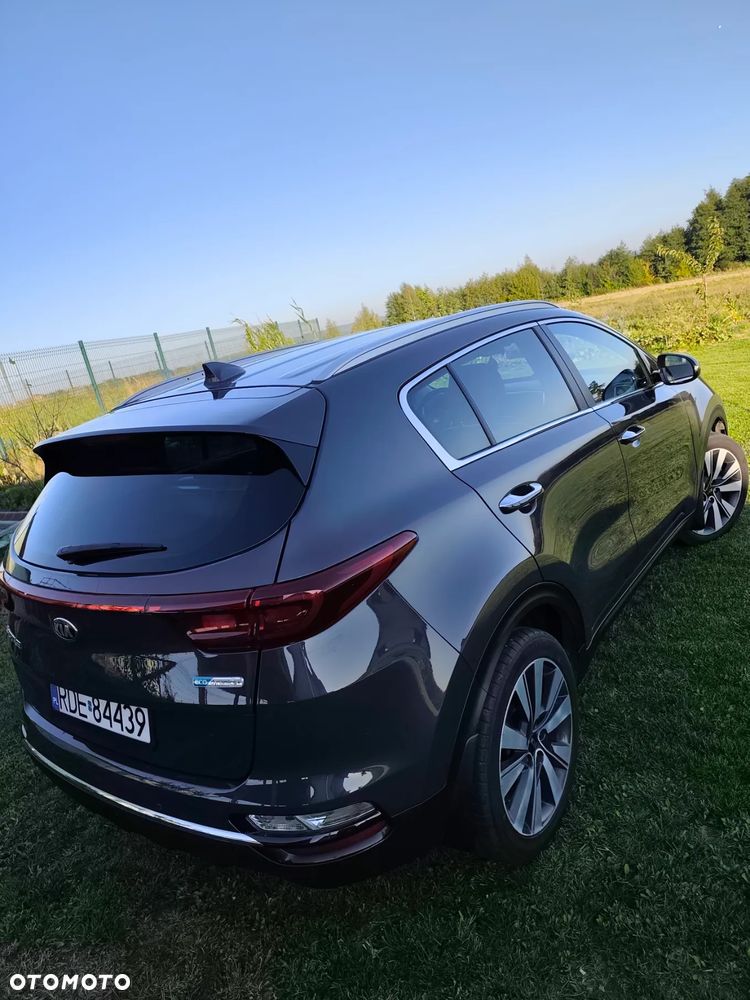 Kia Sportage 1.6 CRDI AWD Eco-Dynamics+ (48V M-H) DCT Black Edition - 16