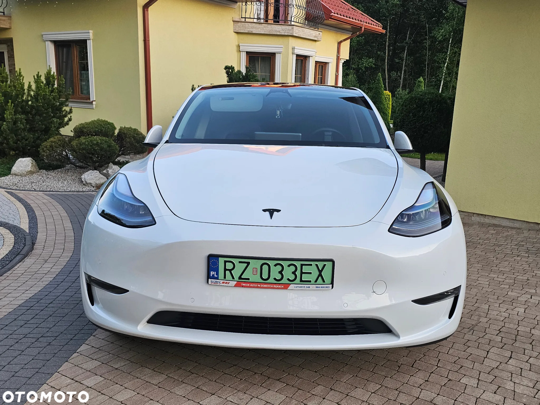 Tesla Y Model Performance Dual Motor AWD - 5