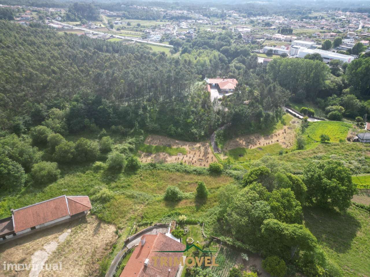 Terreno Rústico  Venda em Pinheiro da Bemposta, Travanca e Palmaz,Oliv - Grande imagem: 4/8