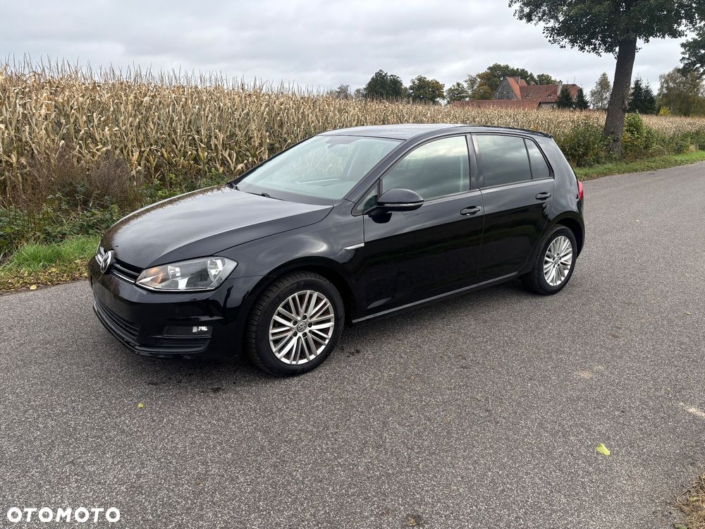 Volkswagen Golf VII 1.6 TDI BMT Trendline - 14