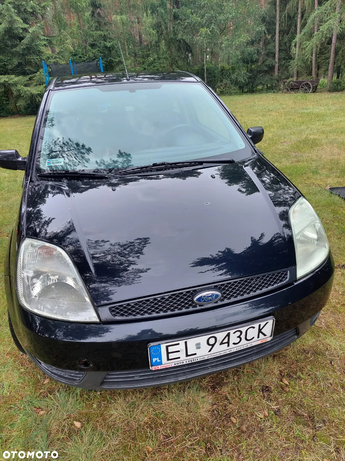 Ford Fiesta - 4