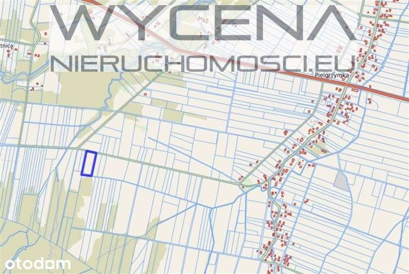 Działki rolne Pielgrzymka, gmina Osiek Jasielski - Pełny obrazek: 5/5