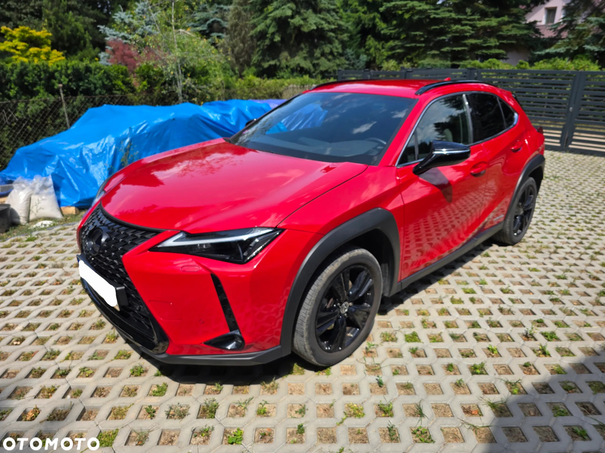 Lexus UX 250h GPF F Impression 2WD - 7