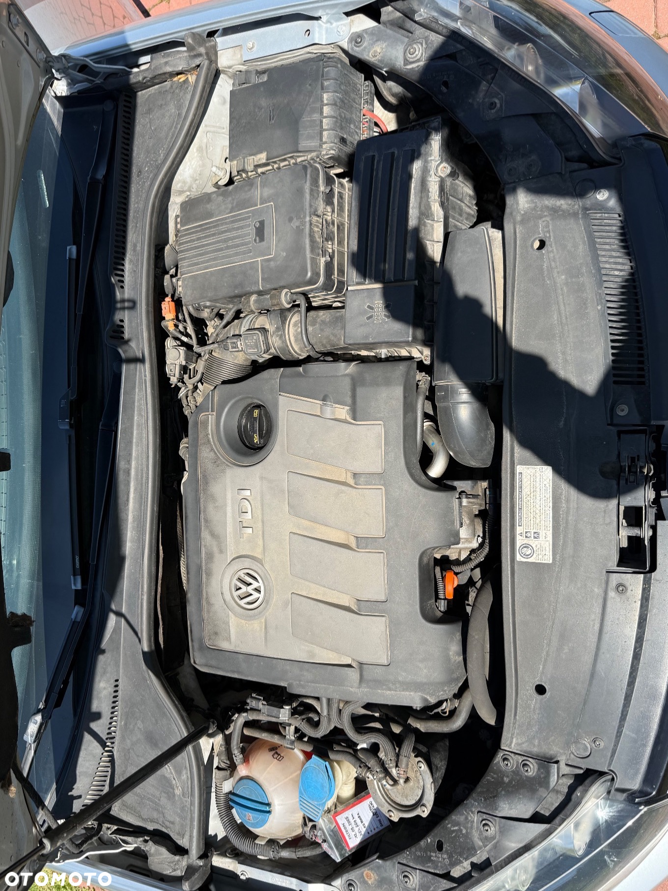 Volkswagen Golf - 16