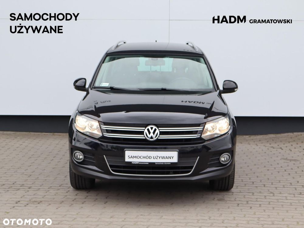 Volkswagen Tiguan - 19