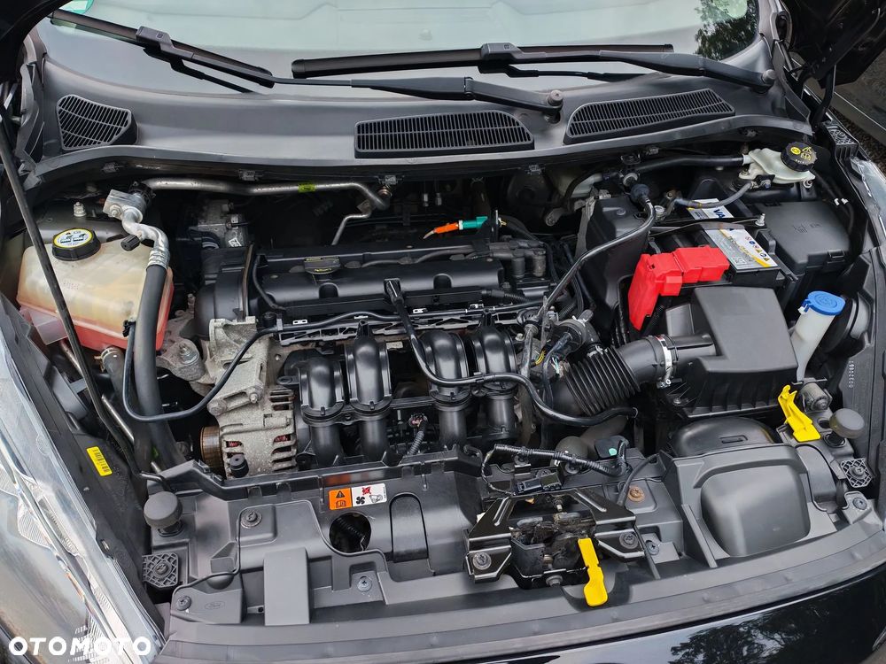 Ford Fiesta - 20
