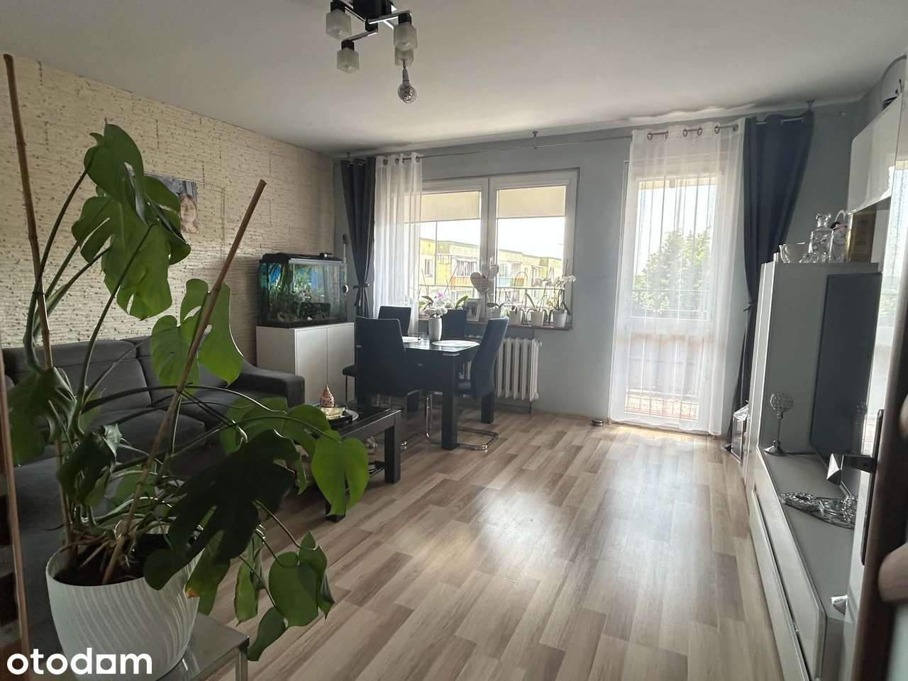 Na sprzedaż przestronne mieszkanie 63 m² – świetna lokalizacja!