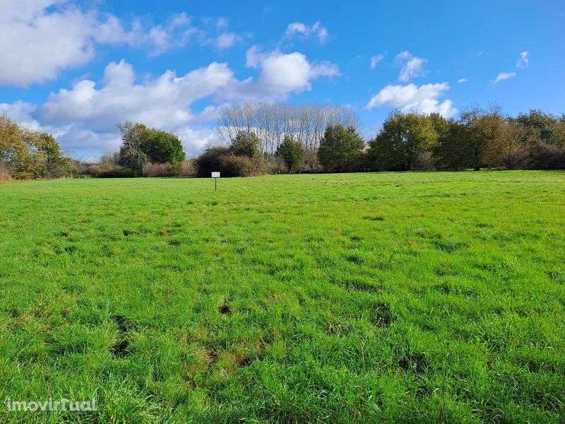 Vendo terreno em Douro Calvo, Sátão, Viseu - Grande imagem: 3/3