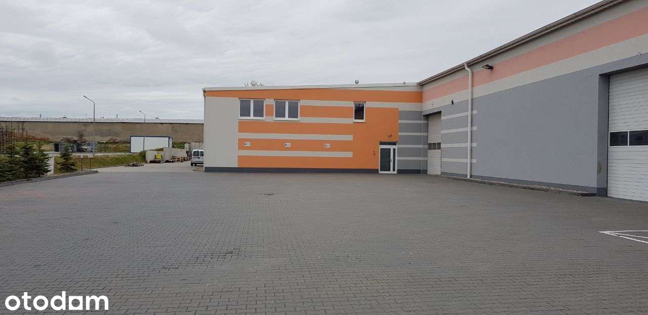 Hala produkcyjna i magazynowa 10000m2 - Pełny obrazek: 2/7