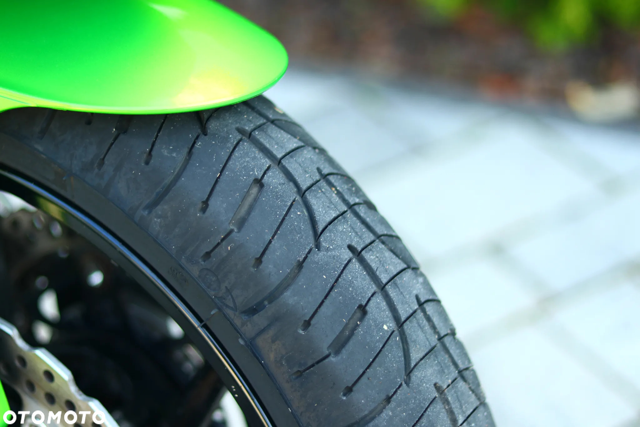 Kawasaki Z - 6