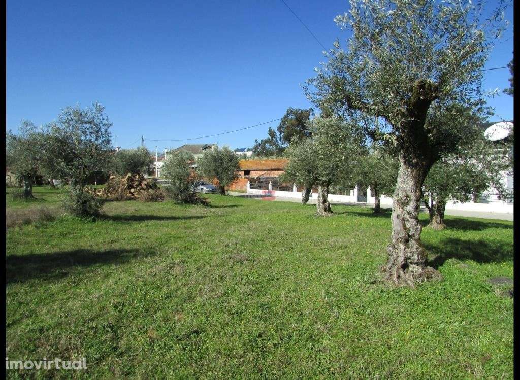 Terreno 800m2 - Grande imagem: 2/6