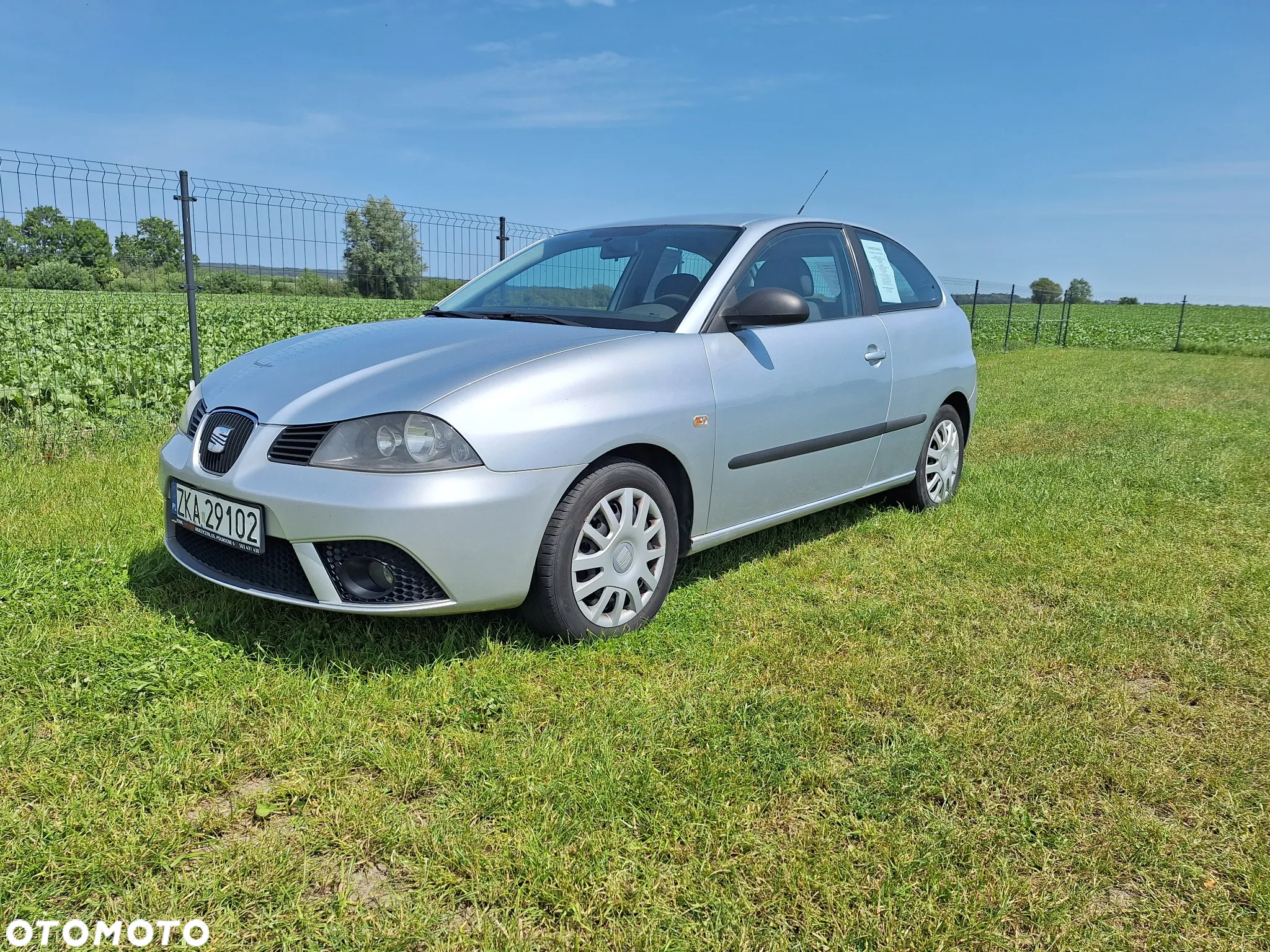 Seat Ibiza - 3