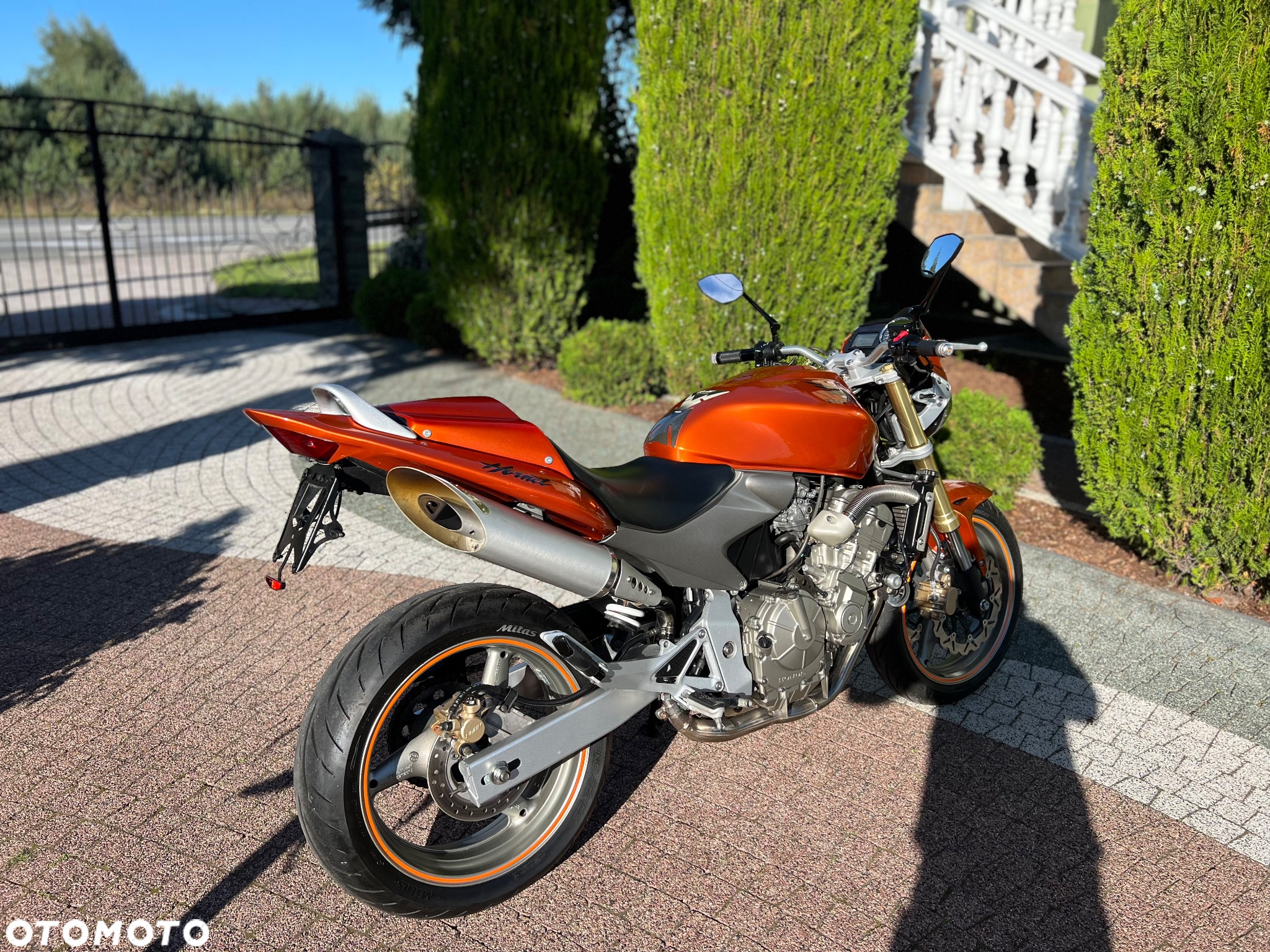 Honda Hornet - 10