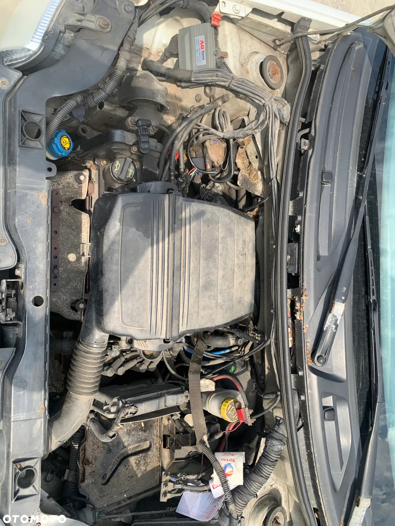 FIAT PANDA 2008 *SAMOCHÓD NA CZĘŚCI* 959  MASKA LAMPA DRZWI LUSTERKO ZDERZAK GRILL BŁOTNIK KLAPA BELKA PRAWE LEWE PRZÓD TYŁ - 6