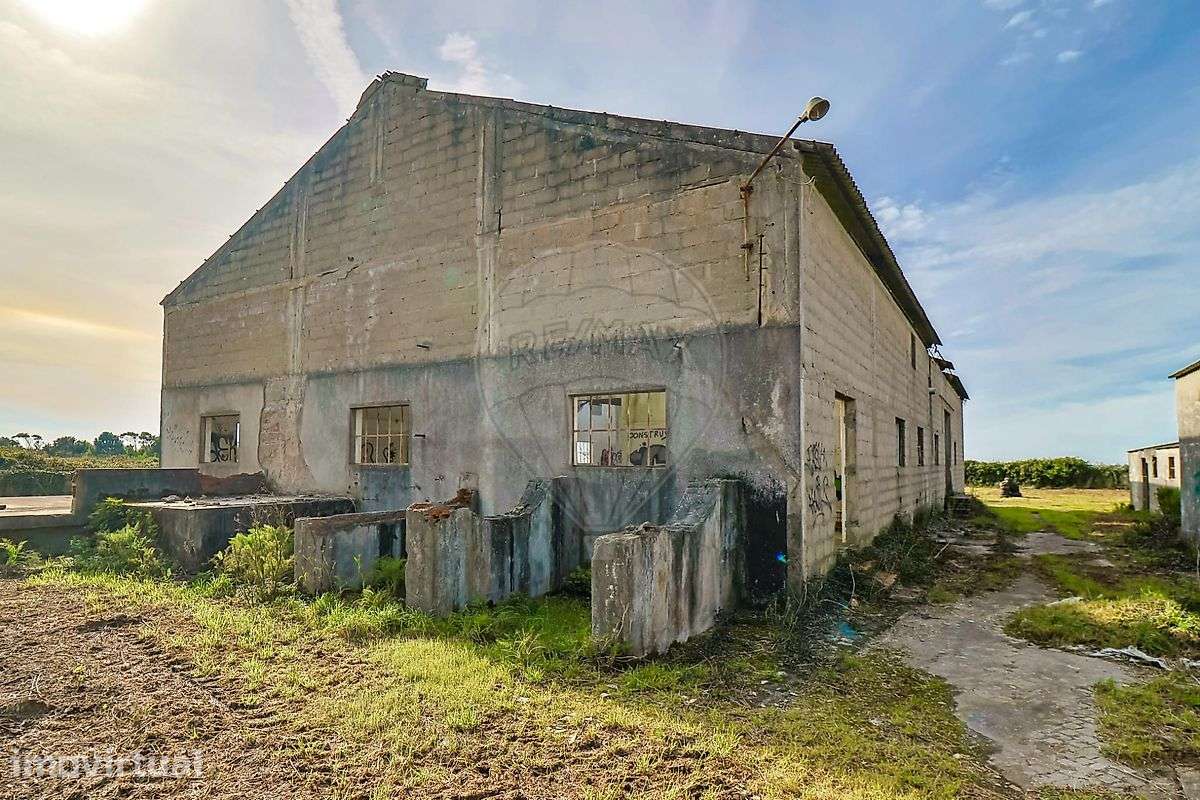 Armazém  para venda - Grande imagem: 5/50