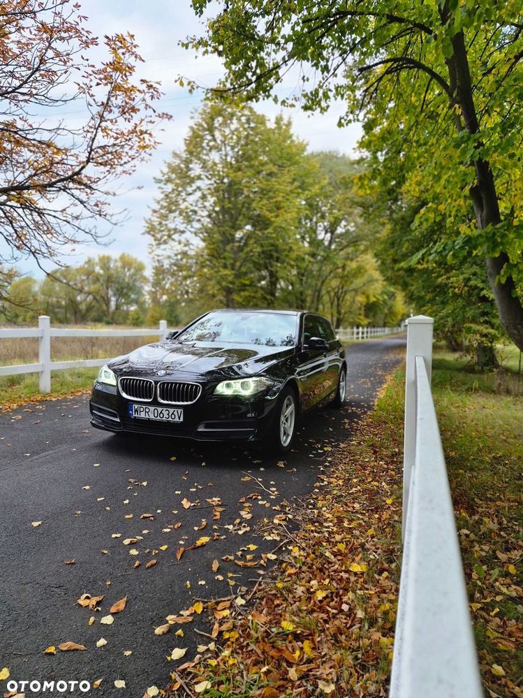 BMW Seria 5 2016 photo 3