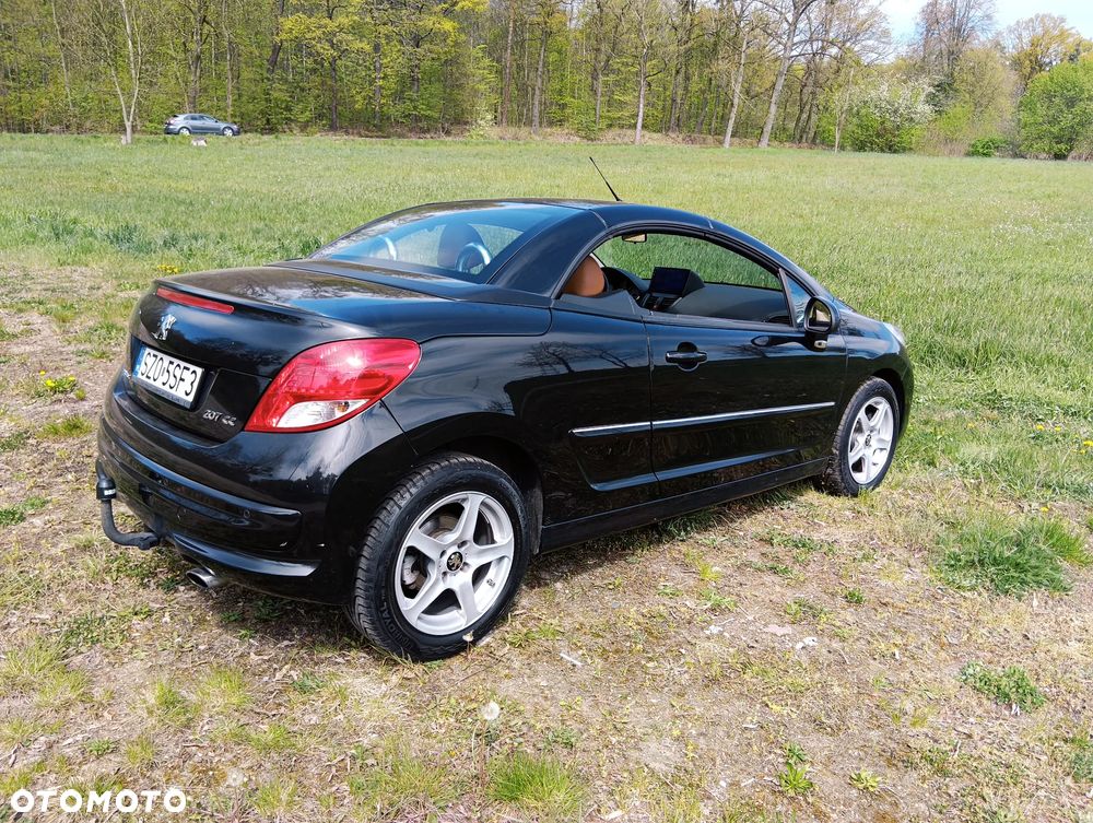Peugeot 207 - 5