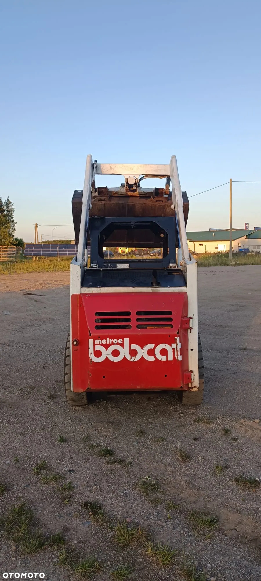 Bobcat - 5