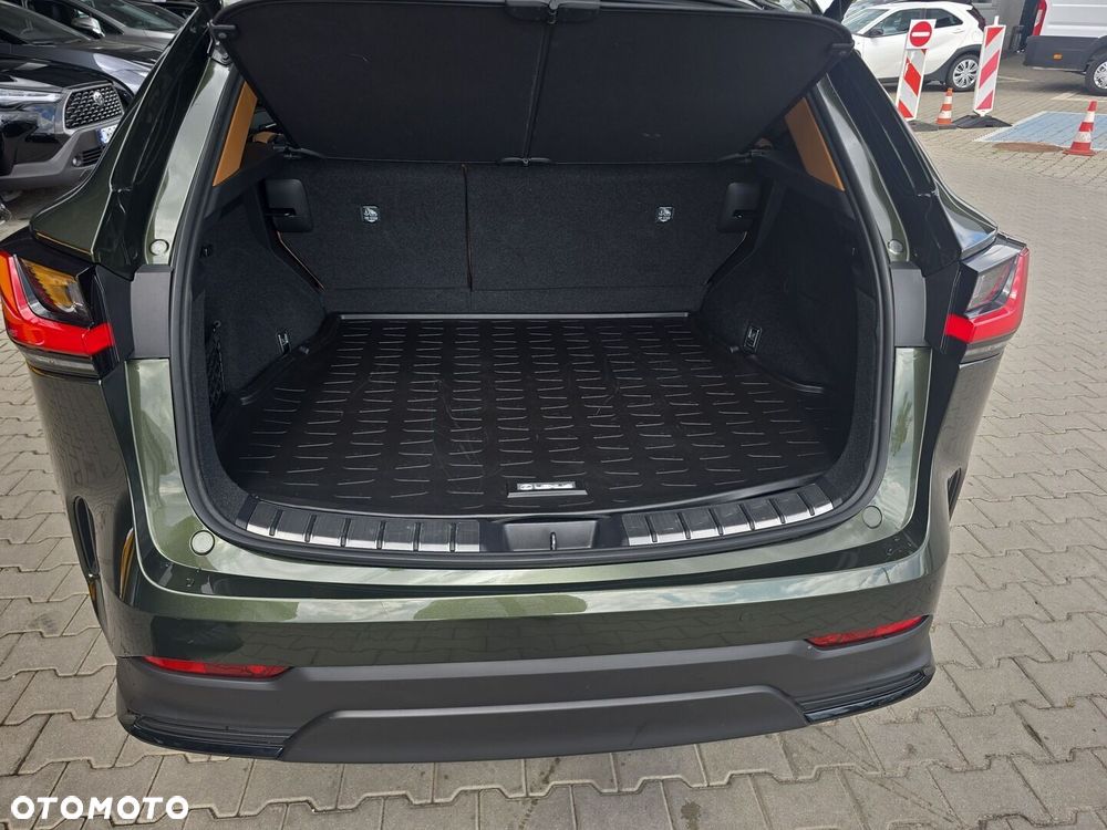 Lexus NX - 29