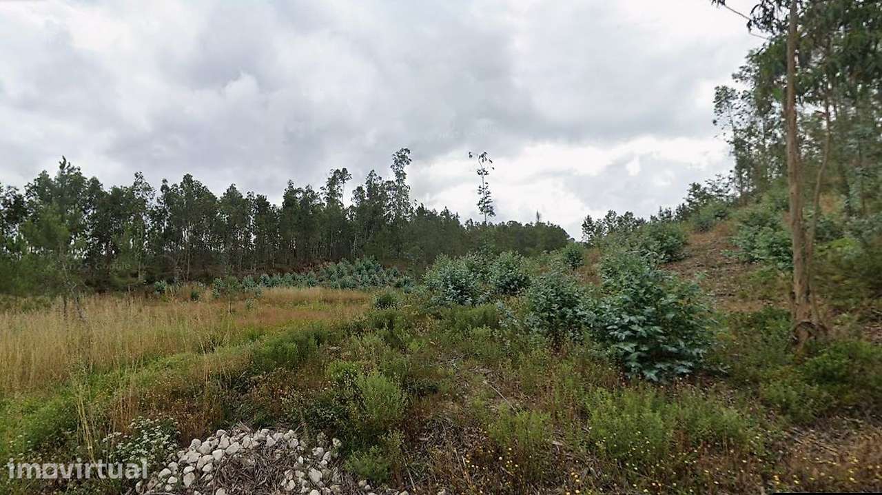 Terreno  para venda - Grande imagem: 4/4