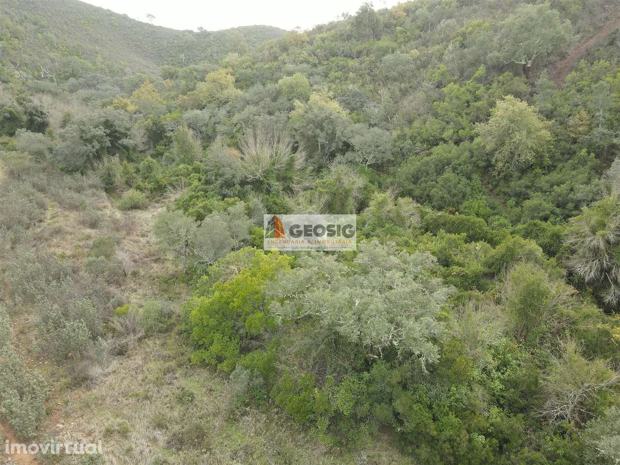 Terreno Rústico  Venda em São Barnabé,Almodôvar - Grande imagem: 3/31