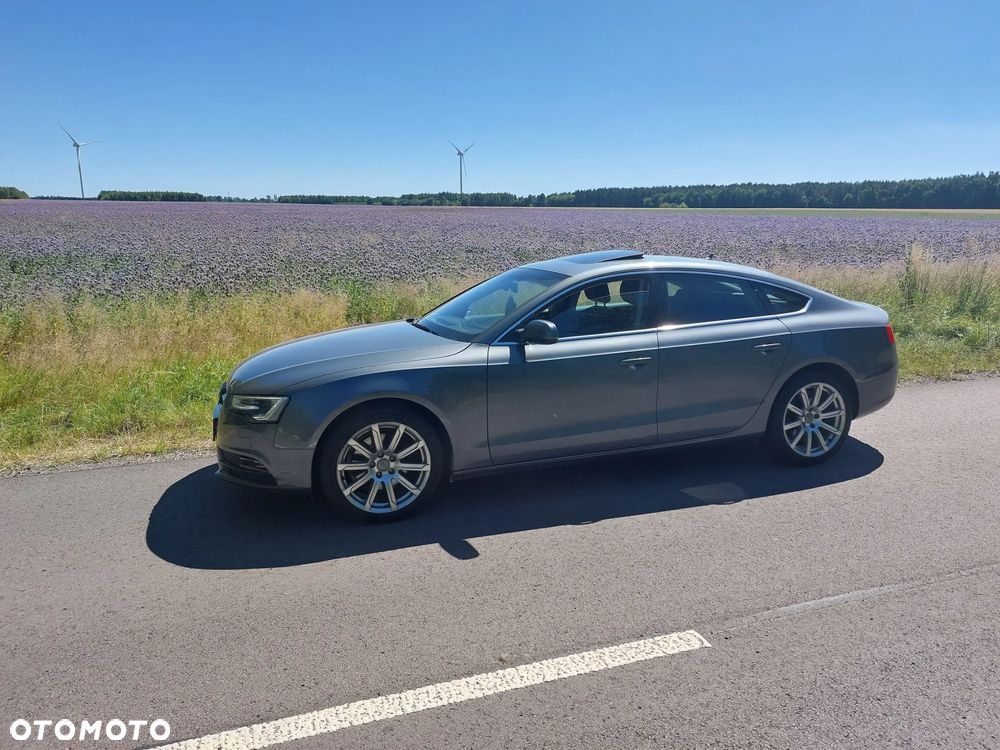 Audi A5 Sportback 2.0 TDI DPF - 8