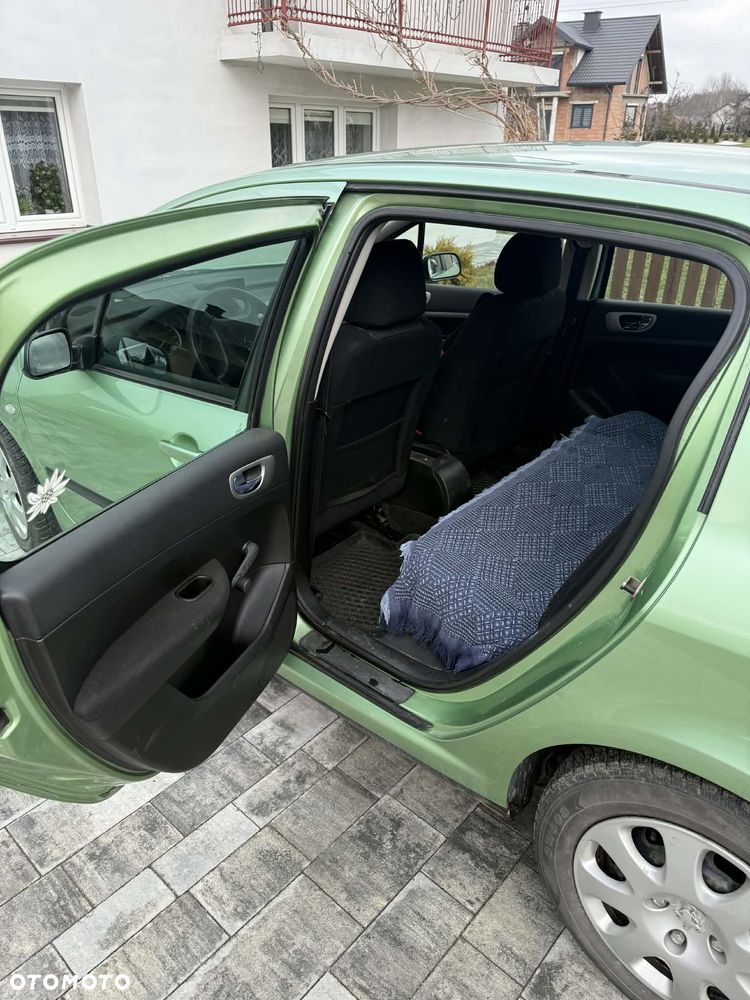 Peugeot 307 1.6 XS - 5