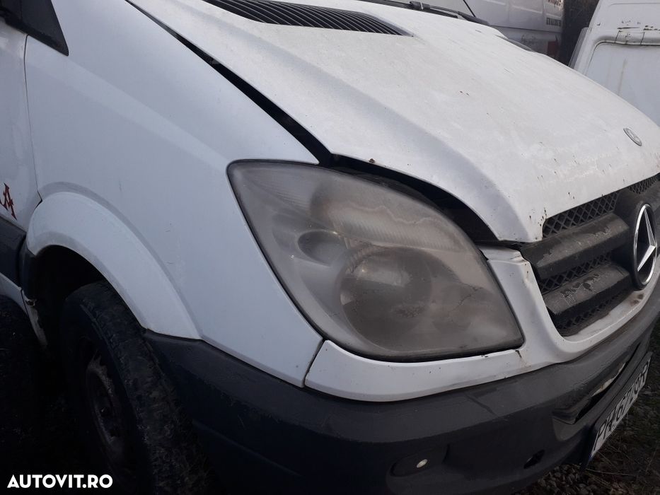 Punte simpla sprinter - 1