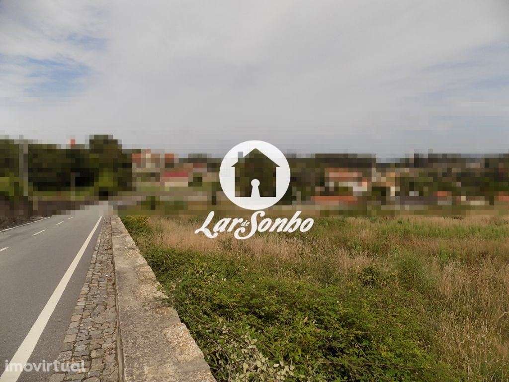 Terreno p/ construção de moradia c/ 800 m2 - Landim - Grande imagem: 5/5