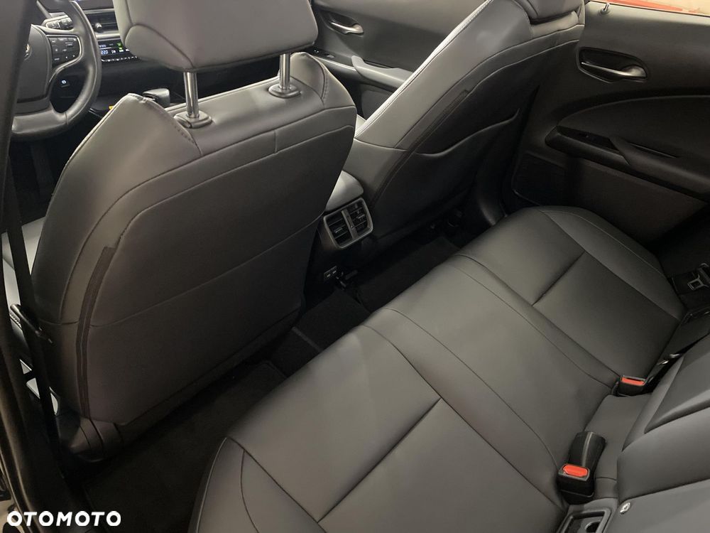 Lexus UX 250h GPF F Sport Design 2WD - 10