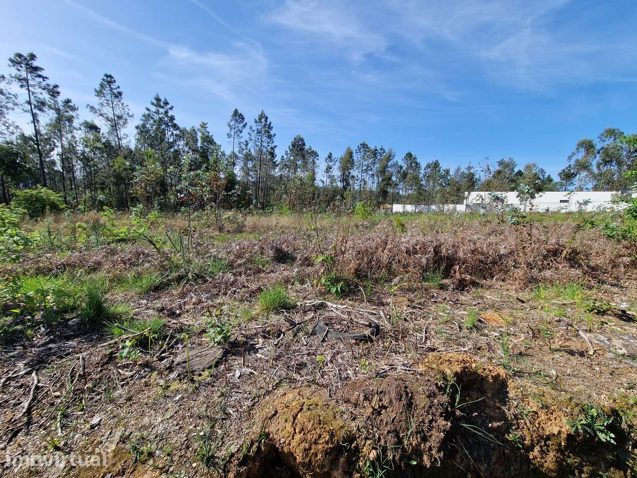 Fantástico Terreno com viabilidade de construção de 6 moradias - Grande imagem: 4/7