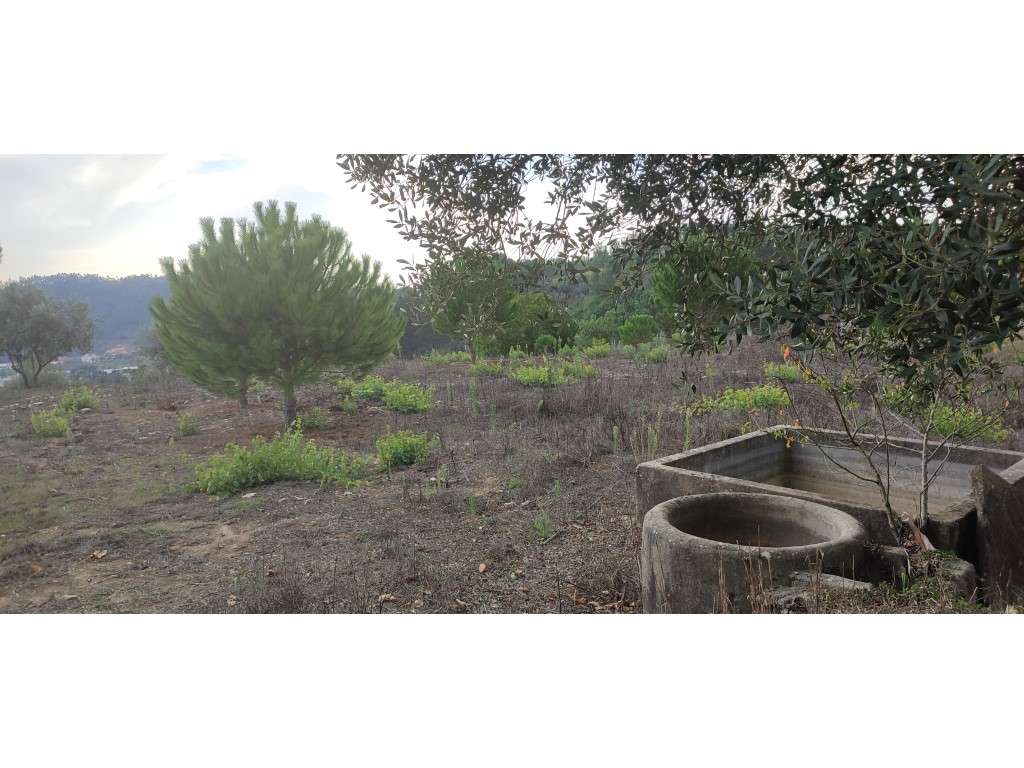 Terreno para venda em zona tranquila com excelente vista - Grande imagem: 5/9