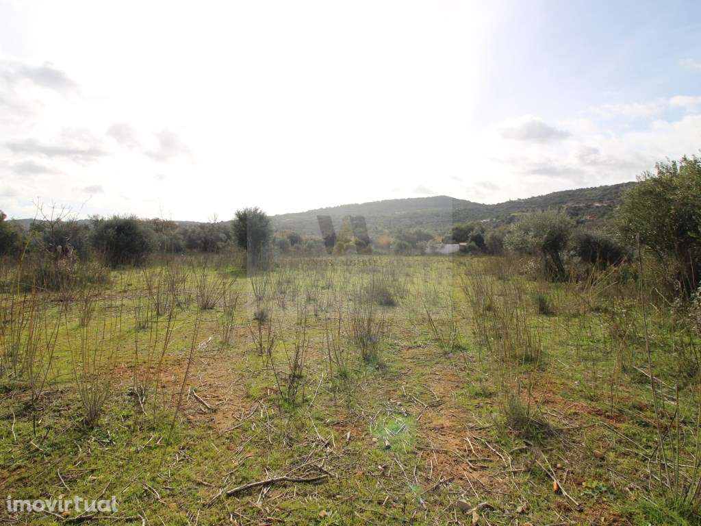 Excelente oportunidade de investimento no coração do Algarve! - Grande imagem: 3/7