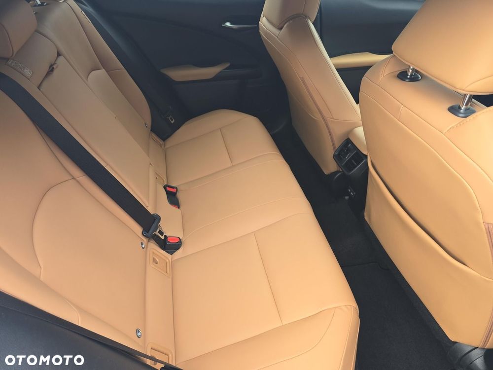 Lexus UX 200 GPF F Sport Design 2WD - 10