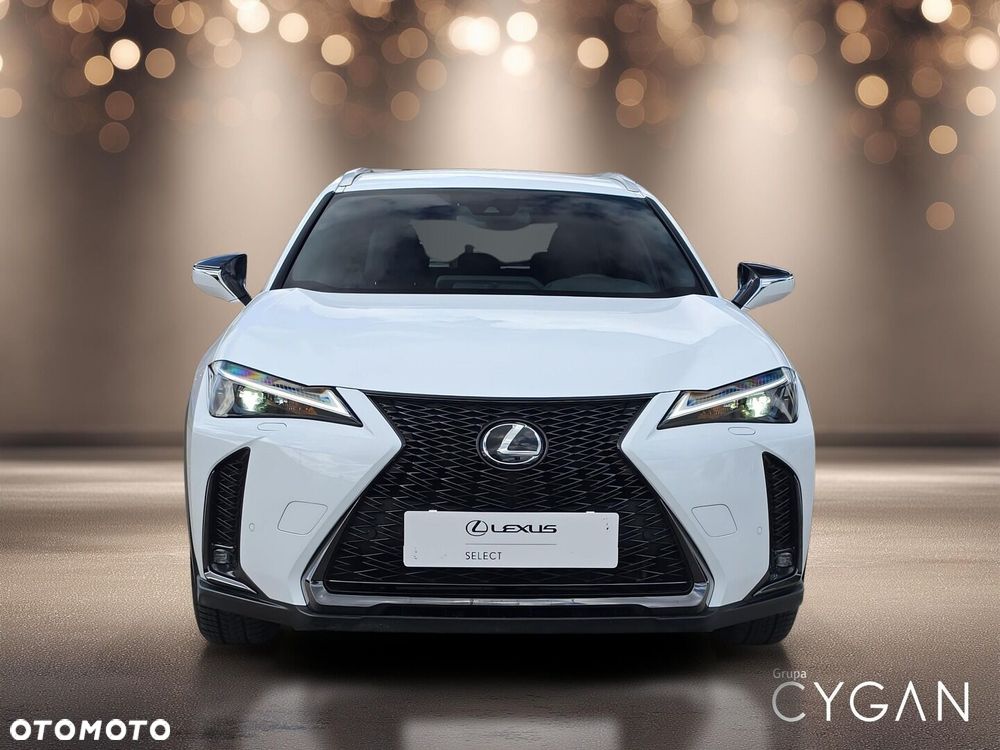 Lexus UX 250h GPF F Sport Design+ 2WD - 10