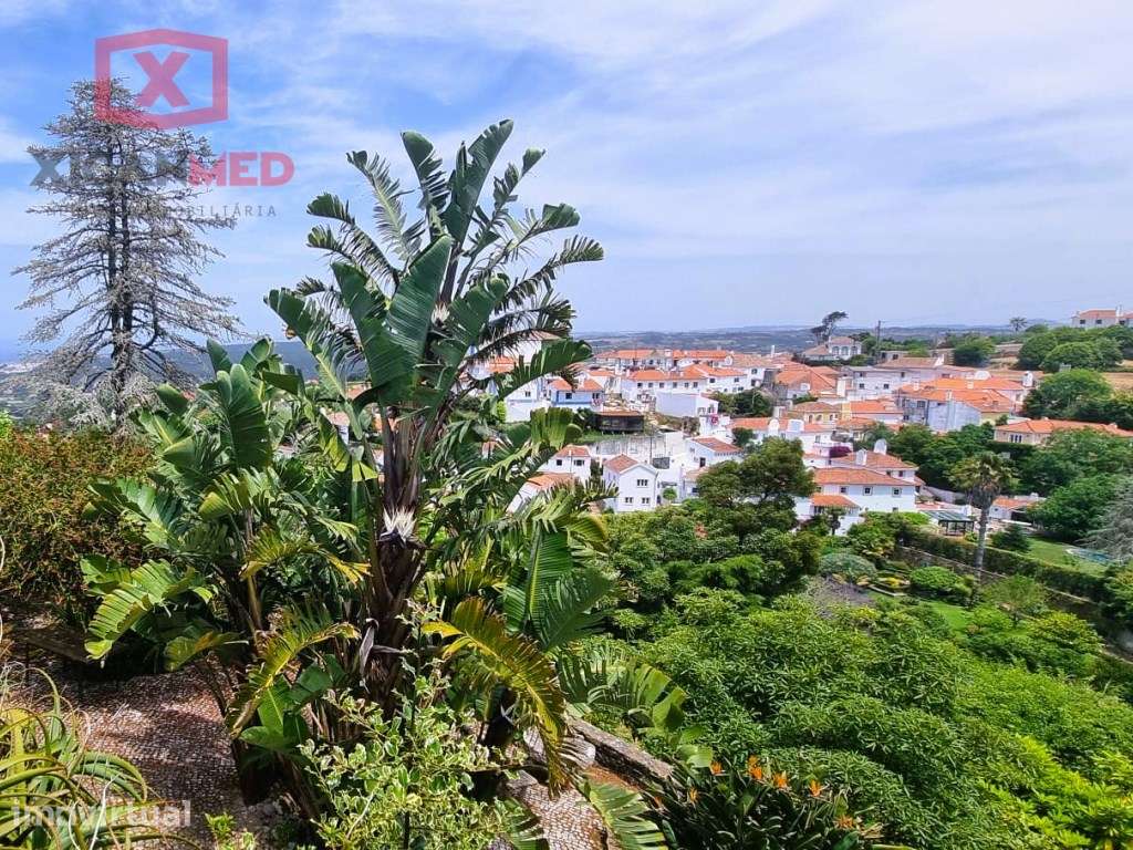 Refugio na Serra de Sintra - Grande imagem: 3/29