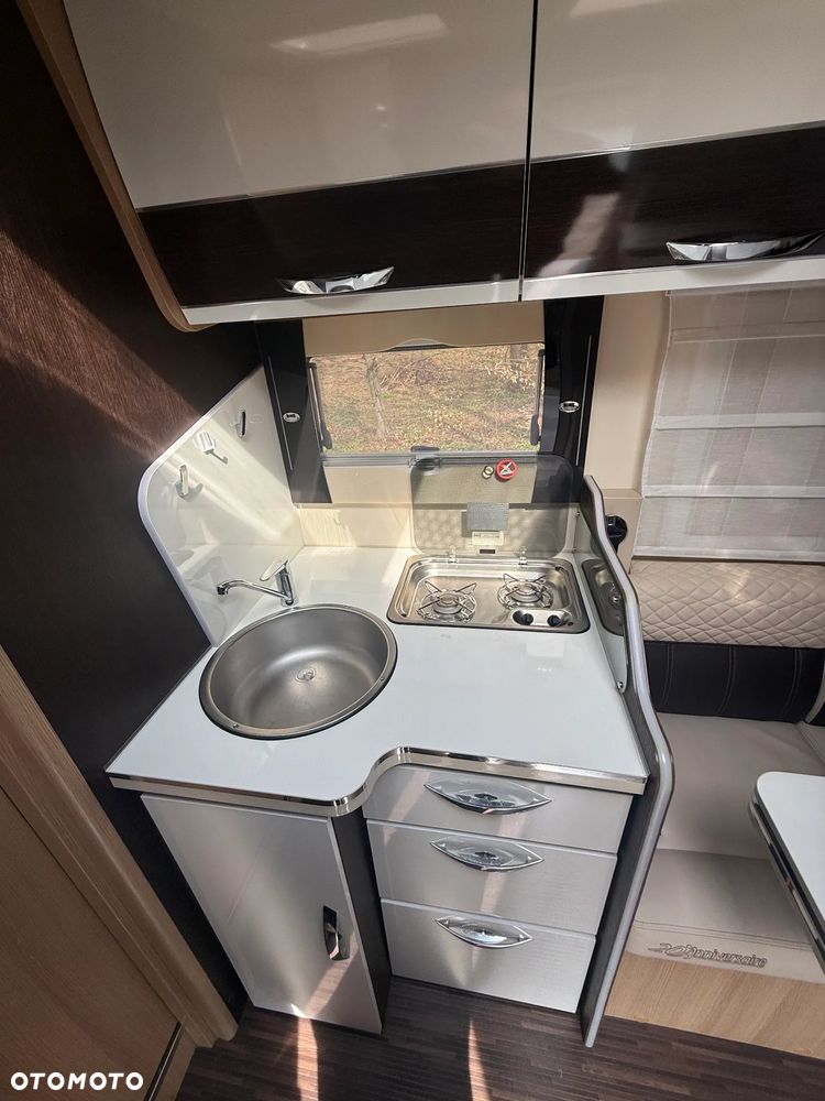 McLOUIS Yearling i61g - 20