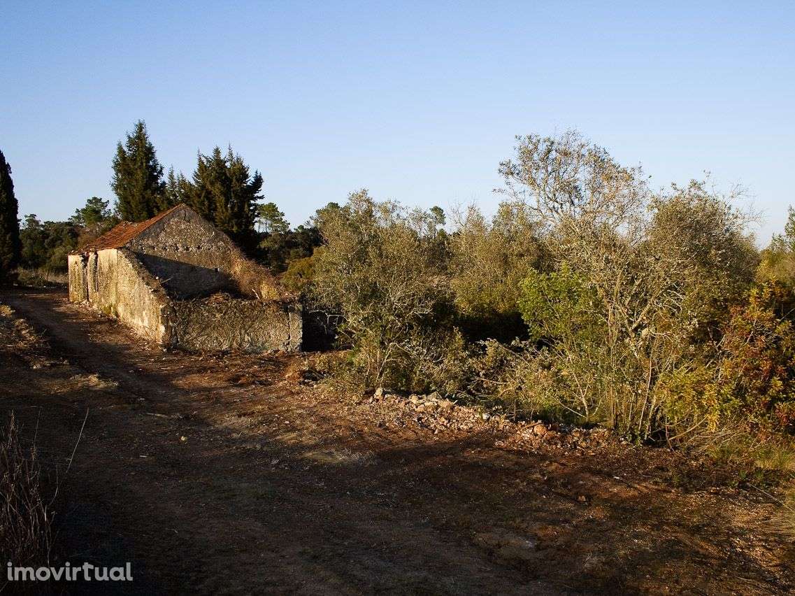 Quinta com 14.754 m2 para Reconstruir - Grande imagem: 2/19