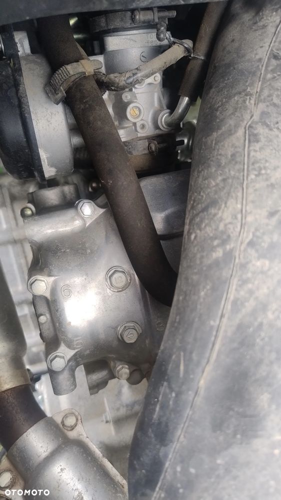 Kawasaki Brute Force - 32