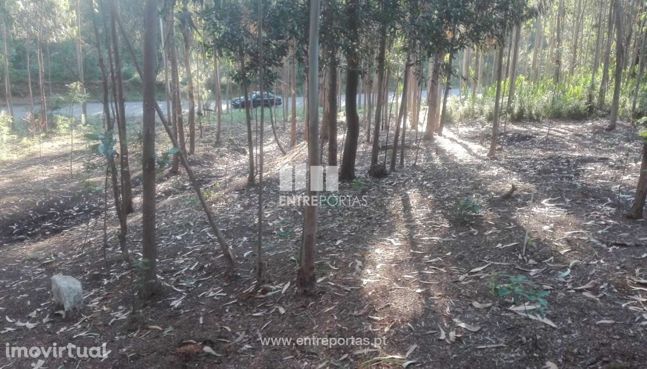 Terreno de construção para venda, Vilarelho, Caminha - Grande imagem: 2/6