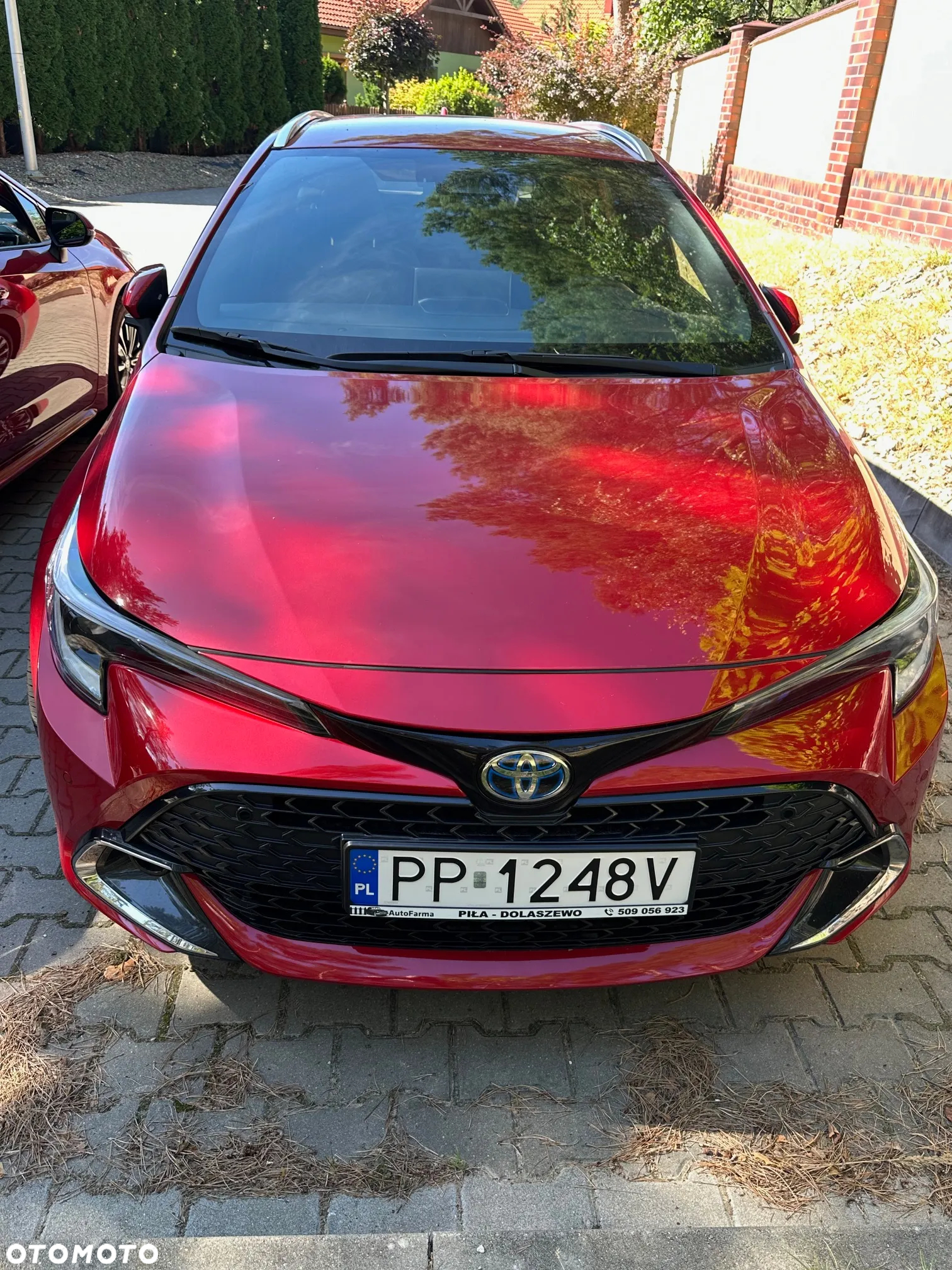 Toyota Corolla - 34