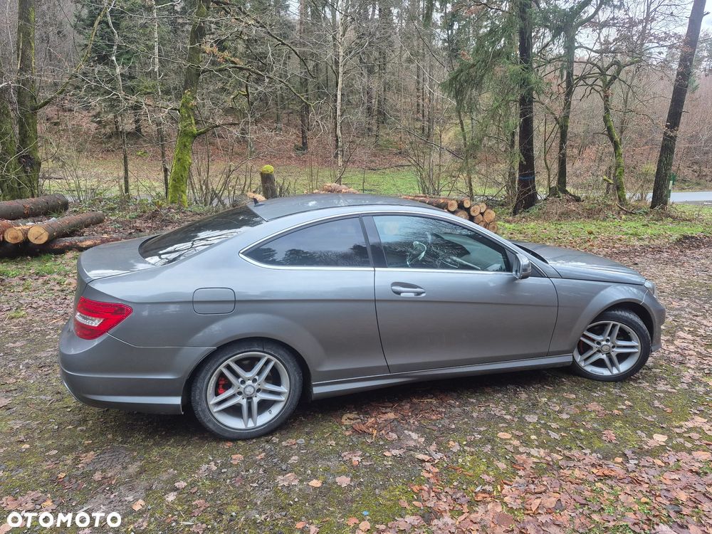 Mercedes-Benz Klasa C 220 CDI DPF (BlueEFFICIENCY) 7G-TRONIC - 10
